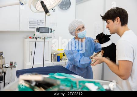 Der Besitzer des Hundes Miniature Pinscher nimmt das Haustier nach der Behandlung in der Tierarztklinik auf. Stockfoto