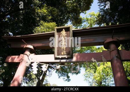 Detail eines schintoistischen Schreins in der Stadt Sakura in Japan. Stockfoto