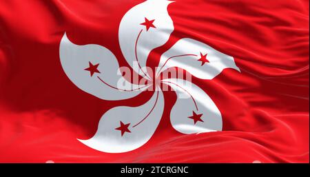 Nahaufnahme der Flagge Hongkongs, die schwingt. Rotes Feld mit einer weißen, stilisierten, fünfblättrigen Orchideenblüte aus Hongkong. 3D-Darstellung. Gewelltes Material. Stockfoto