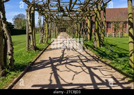 Laube in den Gärten des Old Palace, Hatfield House, Hertfordshire, Großbritannien Stockfoto