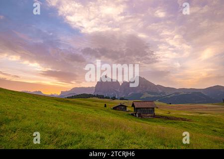 Seiser Alm oder Seiser Alm, UNESCO-Weltkulturerbe. Perfekt für Familien, atemberaubende Ausblicke und atemberaubende Naturbegegnungen. Die Schönheit der Dolomiten ist ein fester Bestandteil Stockfoto