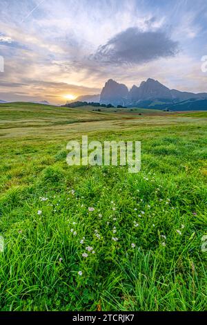 Seiser Alm bei Sonnenaufgang, grüne Wiesen, ferne Gipfel und eine charmante Hütte, die sich im Morgenglühen sonnt, eine ruhige Szene im Herzen der Dolomiten Stockfoto