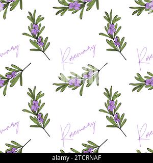 Rosmarinzweige mit Blumen, Muster mit Inschrift und handgezeichnetem Zweig, provenzalischer Stil. Auf weißem Hintergrund. Vektorabbildung Stock Vektor