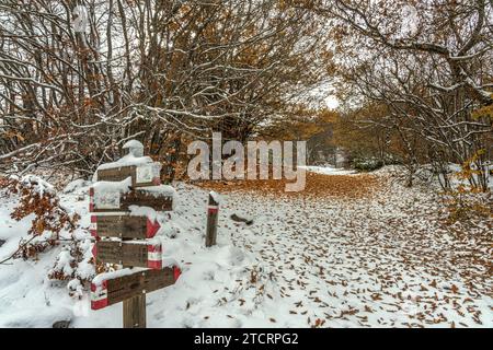 Bergpfadschilder in verschneiten Wäldern mit gefallenen roten Blättern. Abruzzen, Italien, Europa Stockfoto