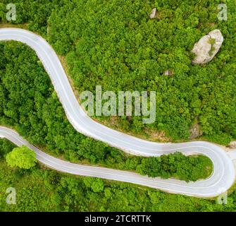 Eine anmutig gekrümmte Straße führt durch einen lebendigen, grünen Wald und bietet ein Gefühl der Verzauberung und Erkundung. Dieses hochwertige Bild eignet sich perfekt für Stockfoto