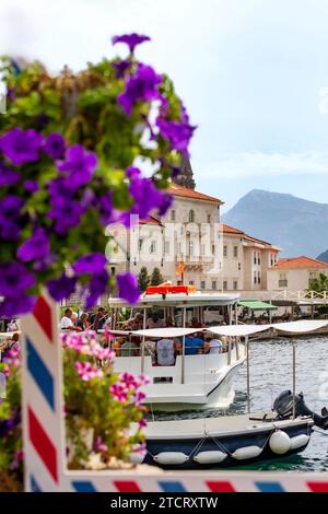 Perast, Montenegro - 21. September 2023: Blumen, Promenade der antiken Stadt, Blick auf die Boote Stockfoto