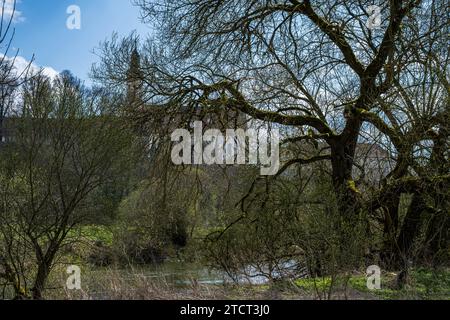 Das Kloster Obermarchtal, auch als ehemalige Reichsabtei Obermarchtal bekannt, versteckt hinter Bäumen am Donauufer, Obermarchtal. Stockfoto