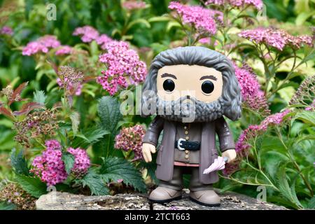 Funko Pop Actionfigur des Wildhüters Halbgiganten Hagrid mit Regenschirm aus dem Fantasy-Film Harry Potter. Rosa Blumen, Waldlichtung, Baumstumpf. Stockfoto