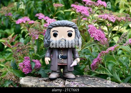 Funko Pop Actionfigur des Wildhüters Halbgiganten Hagrid mit Regenschirm aus dem Fantasy-Film Harry Potter. Rosa Blumen, Waldlichtung, Baumstumpf. Stockfoto