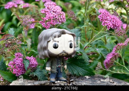 Funko Pop Actionfigur des Zauberers Sirius Black aus dem Film Harry Potter, der auf Baumstumpf steht. Rosafarbene Blumen, Waldlichtung, magische, magische Welt. Stockfoto