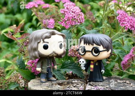 Funko Pop Actionfiguren von Harry Potter mit Eule und Zauberer Sirius Black, die auf Baumstumpf stehen. Rosa Blumen, Waldlichtung, Zauberwelt. Stockfoto