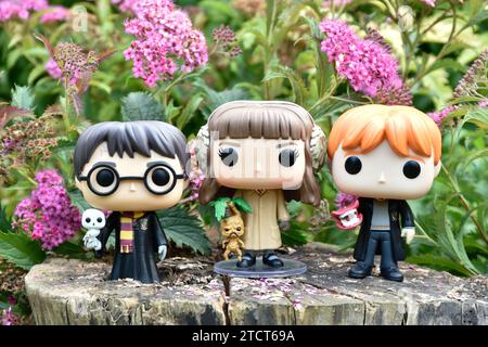 Funko Pop Actionfiguren von Harry Potter, Hermine Granger und Ron Weasley. Rosa Blumen, Waldlichtung, magische Wälder, Zauberwelt, Freundschaft. Stockfoto