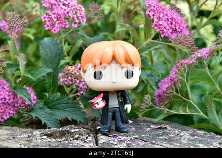 Funko Pop Actionfigur von Ron Weasley mit Brüller aus dem Film Harry Potter und die Kammer der Geheimnisse. Rosa Blumen, Waldlichtung, Baumstumpf. Stockfoto