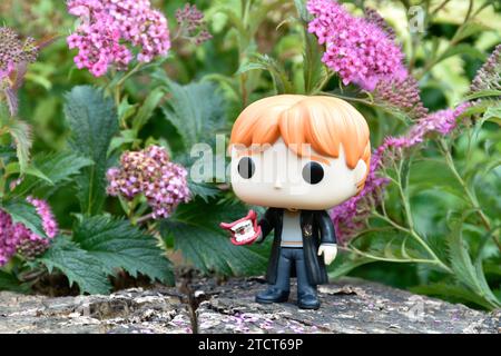 Funko Pop Actionfigur von Ron Weasley mit Brüller aus dem Film Harry Potter und die Kammer der Geheimnisse. Rosa Blumen, Waldlichtung, Baumstumpf. Stockfoto