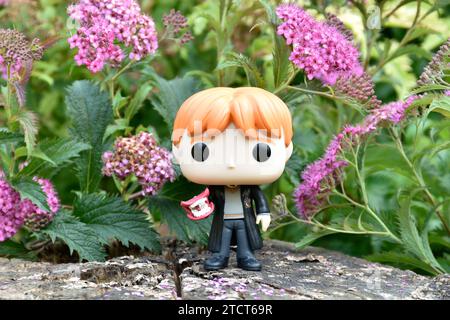 Funko Pop Actionfigur von Ron Weasley mit Brüller aus dem Film Harry Potter und die Kammer der Geheimnisse. Rosa Blumen, Waldlichtung, Baumstumpf. Stockfoto