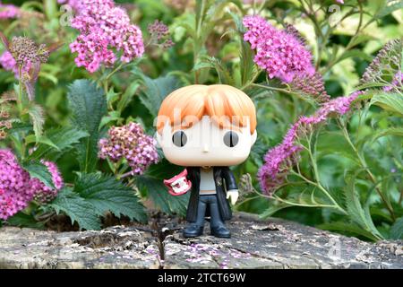 Funko Pop Actionfigur von Ron Weasley mit Brüller aus dem Film Harry Potter und die Kammer der Geheimnisse. Rosa Blumen, Waldlichtung, Baumstumpf. Stockfoto