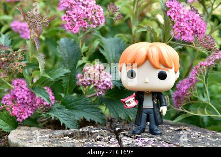 Funko Pop Actionfigur von Ron Weasley mit Brüller aus dem Film Harry Potter und die Kammer der Geheimnisse. Rosa Blumen, Waldlichtung, Baumstumpf. Stockfoto