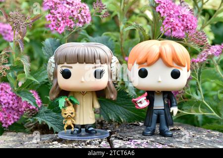 Funko Pop Actionfiguren von Hermine Granger und Ron Weasley aus dem Film Harry Potter. Rosa Blumen, Waldlichtung, Baumstumpf, magische Wälder. Stockfoto