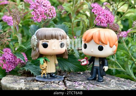 Funko Pop Actionfiguren von Hermine Granger und Ron Weasley aus dem Film Harry Potter. Rosa Blumen, Waldlichtung, Baumstumpf, magische Wälder. Stockfoto