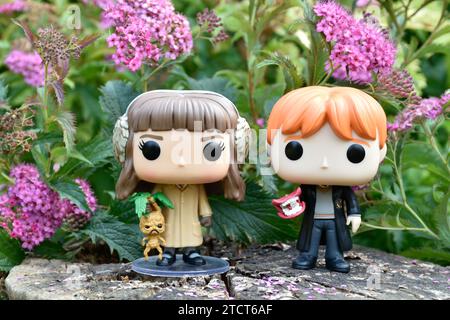 Funko Pop Actionfiguren von Hermine Granger und Ron Weasley aus dem Film Harry Potter. Rosa Blumen, Waldlichtung, Baumstumpf, magische Wälder. Stockfoto