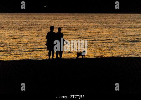 Paare gehen mit ihrem Hund in der Abenddämmerung am Strand in Palaia Fochaia an der Athenischen Riviera von Attika, Griechenland Stockfoto