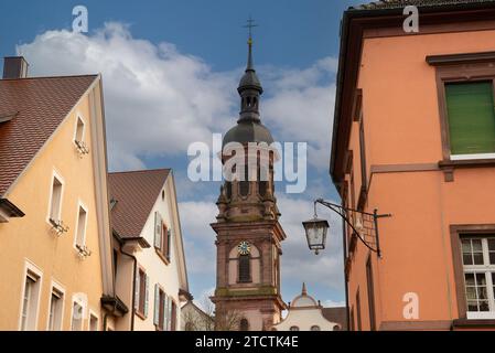 Deutschland; Schwarzwald - Gegenbach Stockfoto