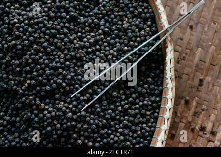 Pfefferfarm. Berühmter schwarzer Pfeffer von Kampot. Einer der besten Pfeffer der Welt. Stockfoto