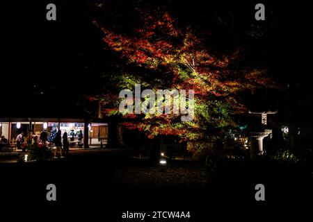 DER HERBST DES RIKUGIEN-GARTENS LEUCHTET IN TOKIO AUF Stockfoto