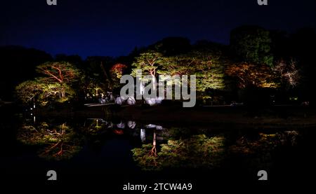 DER HERBST DES RIKUGIEN-GARTENS LEUCHTET IN TOKIO AUF Stockfoto