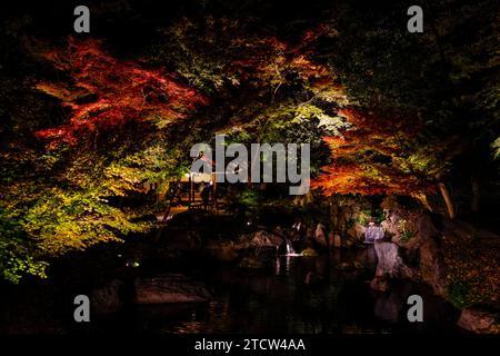 DER HERBST DES RIKUGIEN-GARTENS LEUCHTET IN TOKIO AUF Stockfoto