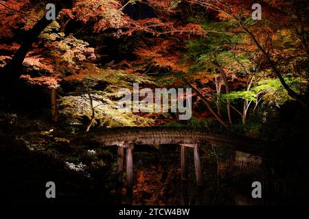 DER HERBST DES RIKUGIEN-GARTENS LEUCHTET IN TOKIO AUF Stockfoto