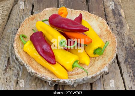 Bunte Paprika in einer Schüssel auf Holzhintergrund Stockfoto