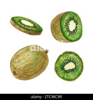 Aquarellillustration von Green Kiwi. Ganze Kiwi-Früchte, halbe Kiwi und Kiwi-Kreise, handgezeichnet in Aquarell auf weißem Hintergrund. Stockfoto