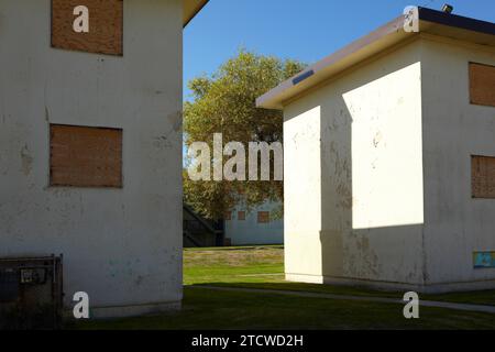 Sozialwohnungen nach Räumungen, vor dem Abriss in Riley Park, Vancouver, BC, Kanada. Ein einzelner Baum wächst im Hof zwischen leeren Gebäuden. Stockfoto