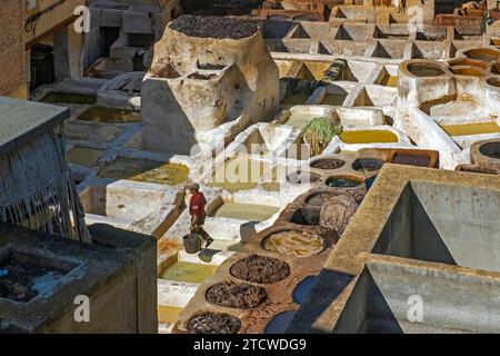 Sidi Moussa Gerberei mit runden Steingefäßen gefüllt mit Farb- und Weichmacherflüssigkeiten in Medina Fes el-Bali der Stadt Fes / Fes, Fez-Meknes, Marokko Stockfoto
