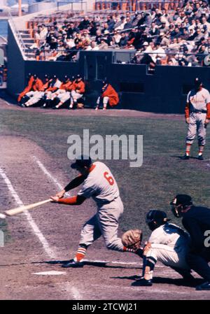 SAN FRANCISCO, KALIFORNIEN - 23. APRIL: Stan Musial #6 der St. Louis Cardinals schwingt in einem MLB-Spiel gegen die San Francisco Giants am 23. April 1961 im Candlestick Park in San Francisco, Kalifornien. (Foto von Hy Peskin) *** örtlicher Titel *** Stan Musial Stockfoto