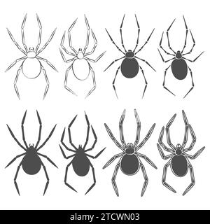 Schwarz-weiß-Illustrationen mit Spinne. Isolierte Vektorobjekte auf weißem Hintergrund. Stock Vektor