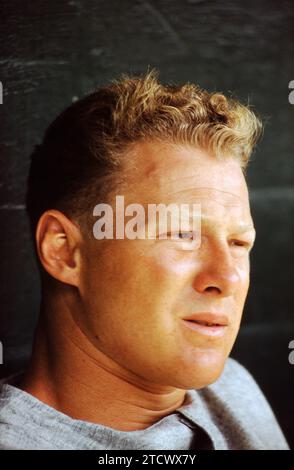 FL - MÄRZ 1956: Jackie Jensen #4 der Boston Red Sox sitzt im Dugout während eines MLB Spring Training Spiels gegen die Brooklyn Dodgers um März 1956 in Florida. (Foto von Hy Peskin) *** örtlicher Bildtitel *** Jackie Jensen Stockfoto