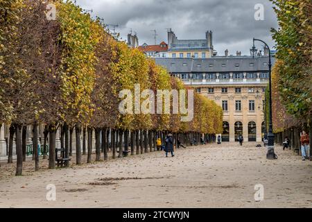 Von Bäumen gesäumte Gänge in den Gärten des Palais-Royal, einem formellen Landschaftsgarten im Palais-Royal, Paris, Frankreich Stockfoto