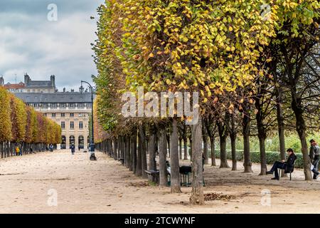 Von Bäumen gesäumte Gänge in den Gärten des Palais-Royal, einem formellen Landschaftsgarten im Palais-Royal, Paris, Frankreich Stockfoto