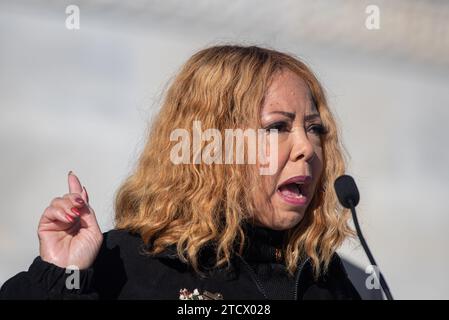 Die US-Repräsentantin Lucy McBath (Demokrat von Georgia) versammelt sich mit Mitgliedern der Gun Violence Prevention Task Force am Donnerstag, den 14. Dezember 2023, anlässlich des 11. Jahrestages der Schießerei der Sandy Hook Elementary School auf den House Steps im Kapitol in Washington, DC. Quelle: Annabelle Gordon/CNP /MediaPunch Stockfoto