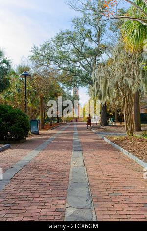 Marion Square Walkway, ehemals Citadel Military College Parade Grounds, 1874 St. Matthew's Lutheran Church in Distance; Charleston SC – November 2023 Stockfoto