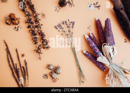 Blumensamen-Mix aus dem Garten. Die Sammlung trockener Samenkörner von Fuchshandschuh veronica lavendelornamentaler Purpurmais Dahlia nigella. Draufsicht. Flache Lagen Stockfoto