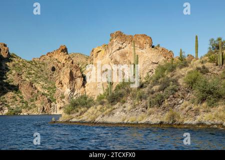 Saguaro-Kakteen vor einer Wüstenlandschaft am Canyon Lake, AZ, USA Stockfoto