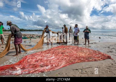 Am Strand von Uppuveli in Sri Lanka findet man am frühen Morgen nach der harten Arbeit der seine-Fischer einen guten Fischfang. Stockfoto