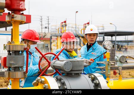 LIANYUNGANG, CHINA - 15. DEZEMBER 2023 - die Mitarbeiter der Gasmanagementabteilung und die Mitarbeiter des Gasversorgungsunternehmens überprüfen gemeinsam den sicheren Betrieb Stockfoto