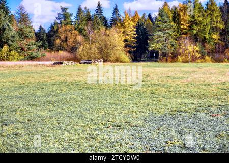 Große Landschaft in den Karpaten, Polen. Almwiesen. Stockfoto