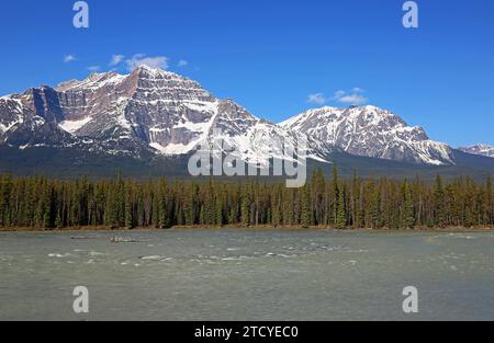 Athabasca River - Jasper NP, Kanada Stockfoto