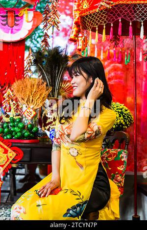 Wunderschöne vietnamesische Frau in traditionellem vietnamesischen Kleid im Tet-Lunar-Neujahr Stockfoto