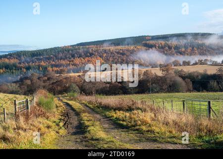 Nebel entlang des Flusses Spey im November. Morayshire, Schottland Stockfoto